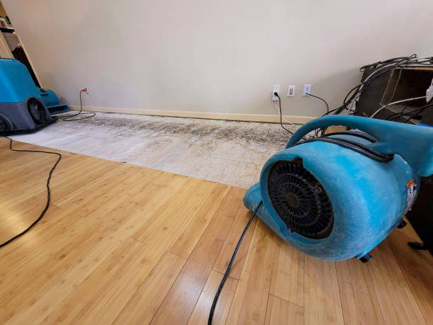 Professional Water Damage Repair technician working in Morenci, AZ